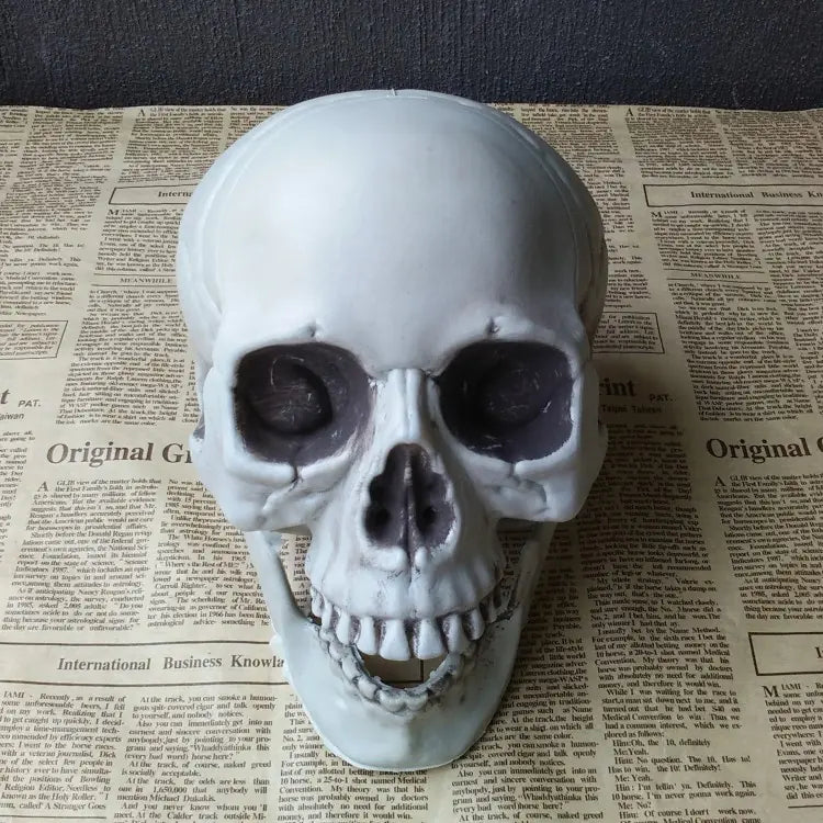 Realistic Skull Head Decor for Haunted House Display