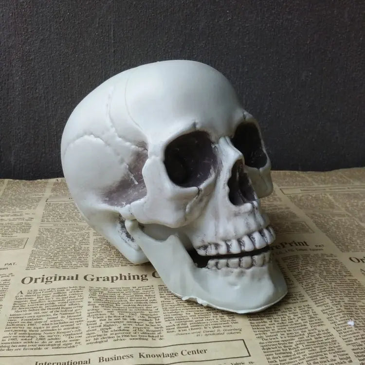 Realistic Skull Head Decor for Haunted House Display