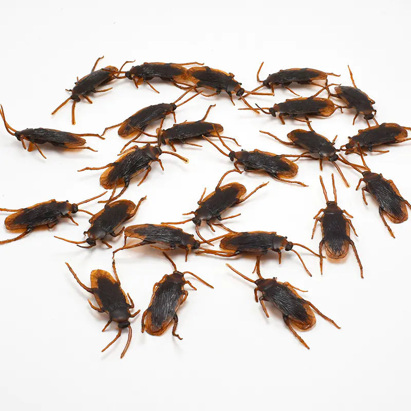 Realistic Cockroach Toy Prop