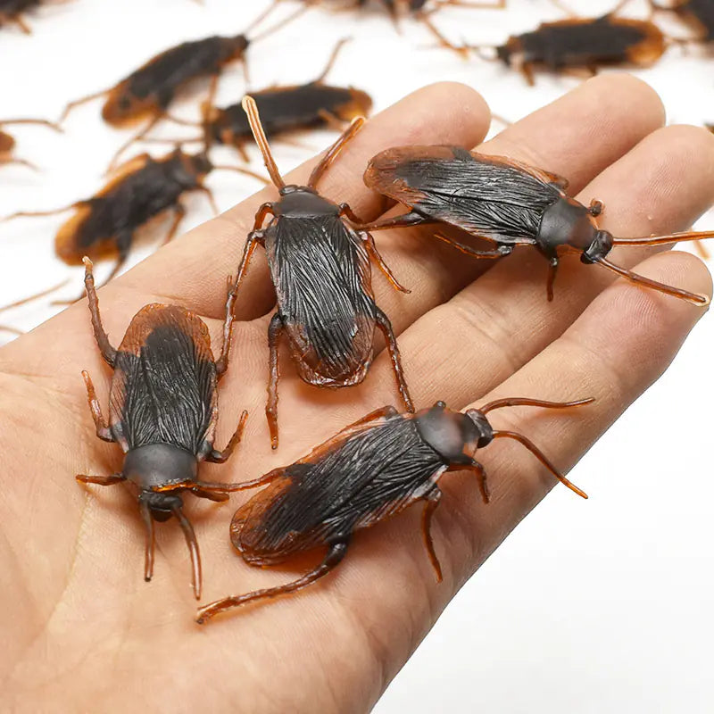 Realistic Cockroach Toy Prop