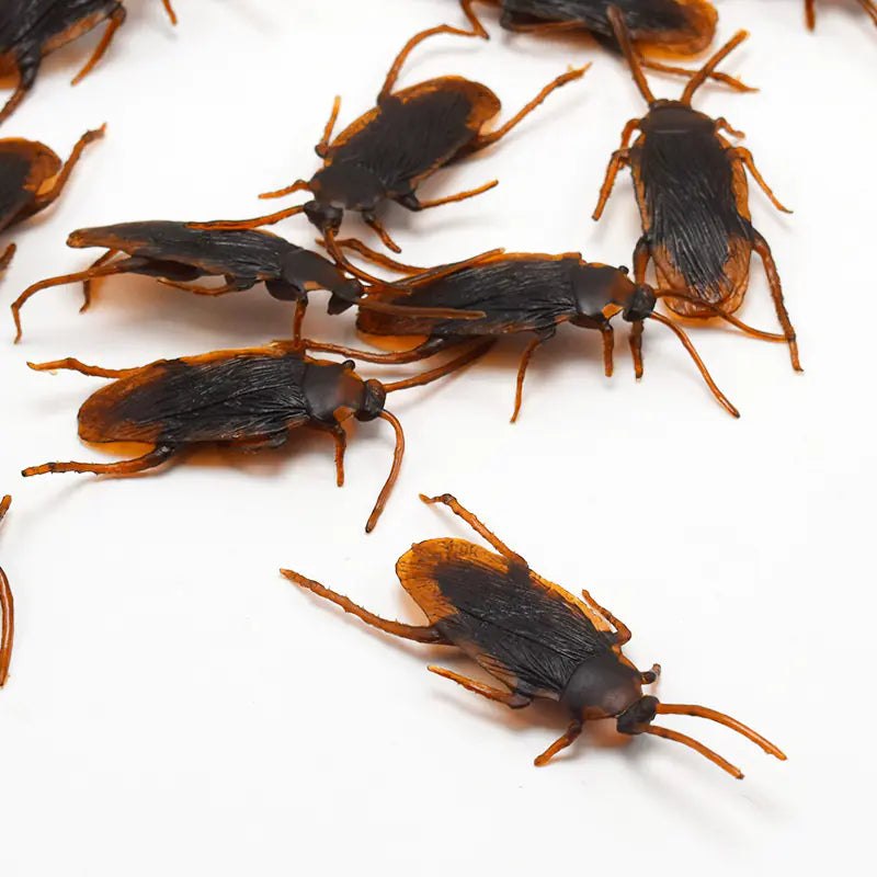 Realistic Cockroach Toy Prop