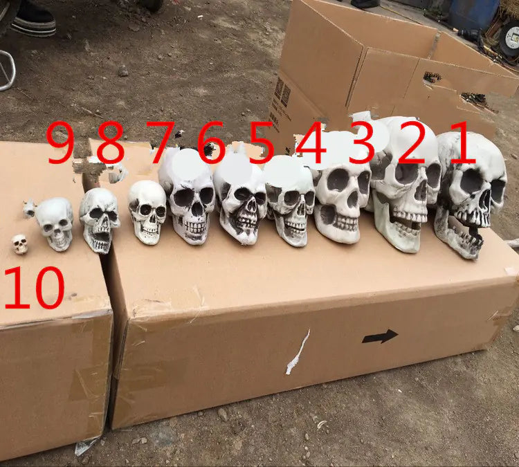 Realistic Skull Head Decor for Haunted House Display
