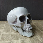 Realistic Skull Head Decor for Haunted House Display