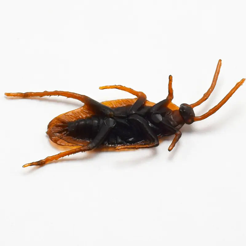 Realistic Cockroach Toy Prop