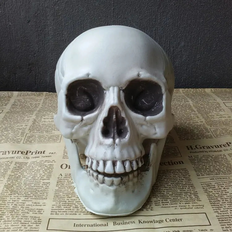 Realistic Skull Head Decor for Haunted House Display
