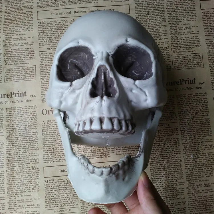 Realistic Skull Head Decor for Haunted House Display