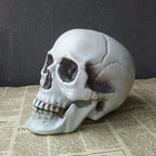 Realistic Skull Head Decor for Haunted House Display
