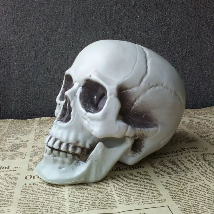 Realistic Skull Head Decor for Haunted House Display